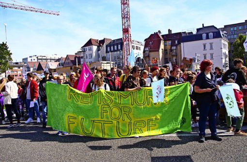 Die grüne Ratsfraktion will eine internationale Schüler-Klimaschutzkonferenz in der Landeshauptstadt initiieren. Foto: 7aktuell/Andreas Werner