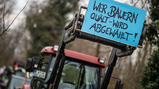 Die EU will die Auflagen für die Bauern beim Umweltschutz verschärfen – auch gegen den massiven Protest der Landwirte. Das Europaparlament stimmt deshalb für ein umstrittenes Gesetz zur „Wiederherstellung der Natur“. Foto: dpa/Christoph Schmidt