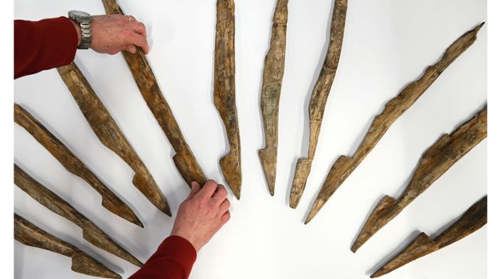 Sensationsfund erstmals vorgestellt: Tödliche Holz-Fallen: Der Stacheldraht der alten Römer
