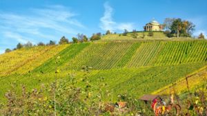 Die Stuttgarter Weinwanderwege führen durch die malerischen Landschaften der Weinberge in der Umgebung und auch zentrumsnah. Foto: IMAGO / Panthermedia