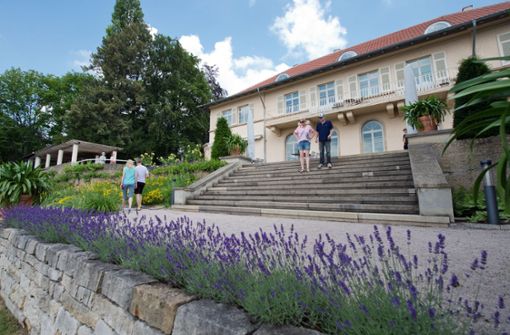 Rund 7.000 Besuchen kommen jährlich in den Park der Villa Reitzenstein. Foto: Lichtgut-Oliver Willikonsky