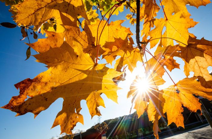 So wird das Wetter: 24 Grad in Stuttgart – wie lange bleibt der  Herbst so schön?