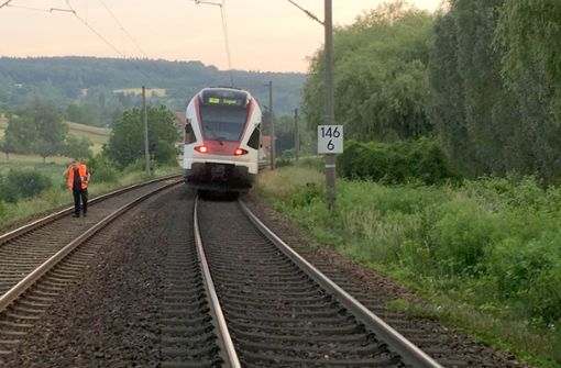 Unfall auf den Gleisen: Regionalbahn fährt gegen einen Baumstamm Foto: Bundespolizeiinspektion Konstanz