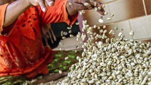 Angebaut wird Kaffee in Ländern wie Brasilien, Kolumbien,  Kenia oder Indonesien. Foto: dpa/Ivan Damanik