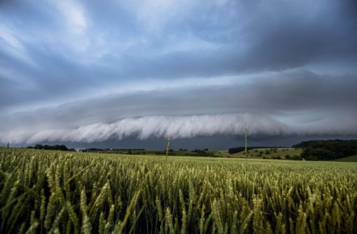Bei dem heftigen Unwetter entstand bei Affalterbach auch das seltene Phänomen einer Shelf Cloud. Weitere Bilder vom Unwetter finden Sie in unserer Bildergalerie. Foto: 7aktuell/Simon Adomat