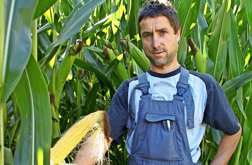 Den Mais wird Bauer Hansjörg Benz häckseln und Foto: Schüler