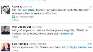 Unter dem Hashtag #aufschrei posten vor allem junge Frauen ihre Erfahrungen mit Sexismus. Foto: Twitter/Screenshot