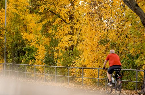 Kalter Sprühregen und goldene Herbsttage – der Oktober hatte alles im Angebot. Foto: Lichtgut/Max Kovalenko