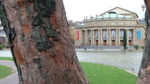 Die Stuttgarter Oper steht nicht nur wegen ihrer anstehenden Sanierung in der Debatte, sondern auch wegen schwindender Zuschauerzahlen. Foto: dpa/Bernd Weisbrod