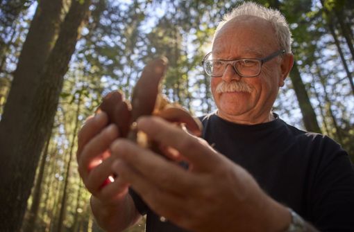 Der Pilzsachverständige Professor Manfred Krautter mit einem besonderen Porling, den er im Schwäbischen Wald entdeckt hat. Foto: Gottfried /oppel