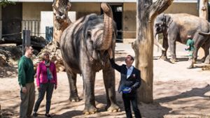 Wilhelmachef Thomas Kölpin und Finanzministerin Edith Sitzmann im Kontakt mit einer betagten Elefantendame. Foto: Lichtgut/Max Kovalenko