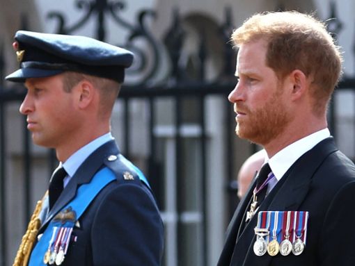 Prinz William und Prinz Harry haben sich in den letzten Jahren voneinander entfernt: Steht jetzt eine Versöhnung der Brüder im Raum? Foto: imago/Paul Marriott