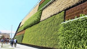 Vertikale Felder:  Der US-amerikanische Pavillon zeigt, wie effiziente Bepflanzung aussehen kann. Foto: Melanie Maier