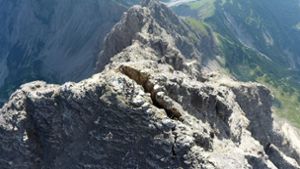 Auf diesem Bild ist der metergroße Spalt auf dem Gipfel des Hochvogels im Allgäu zu sehen. Foto: dpa/3D RealityMaps G/Florian Mädler