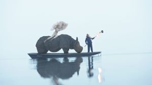 Wie Europa auf dem Stier: Für die Aufnahme hat Claus Friedrich Rudolph ein Rhinozeros aus dem Museum auf den Bodensee transportiert. Foto: Claus Friedrich Rudolph