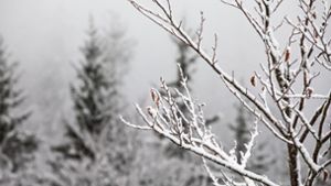 Mitte November ist auf dem Feldberg der erste Schnee gefallen, der kurzzeitig auch liegen blieb. Foto: dpa/Philipp von Ditfurth