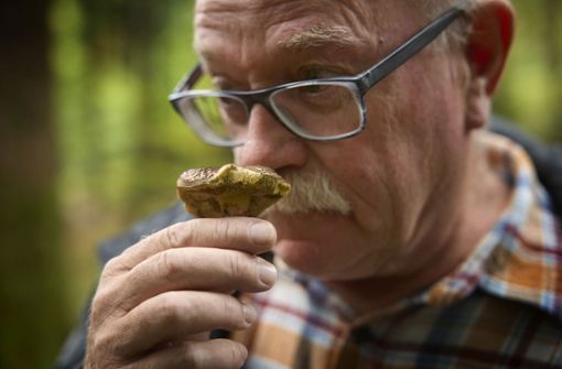 Manfred Krautter  riecht an einem Schönfußröhrling – der Pilz ist giftig und nichts für die Küche. Foto: Gottfried Stoppel