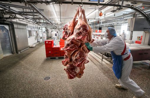 Die Tierärzte, die in den Schlachthöfen tätig sind, stehen in der Kritik – aber sie drehen den Spieß jetzt um. Foto: dpa/Jan Woitas