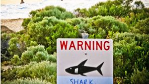 Am Prevelly Beach in West-Australien warnt ein Schild Schwimmer und Taucher vor Haien in den Küstengewässern. Foto: dpa