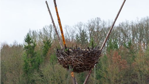 jetzt ist das Nest wieder leer. Foto: Eibner-Pressefoto