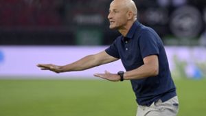 Wird Peter Zeidler neuer Trainer des FC Augsburg? Foto: IMAGO/Pius Koller