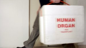 Die Zahl der Menschen, die sich zu einer Organspende bereit erklären, hat in Baden-Württemberg jüngst einen neuen Tiefstand erreicht. Foto: dpa