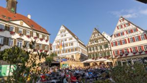 Der Herrenberger Marktplatz, die gute Stube der Stadt. Foto: /DROFITSCH/EIBNER