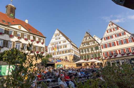 Der Herrenberger Marktplatz, die gute Stube der Stadt. Foto: /DROFITSCH/EIBNER