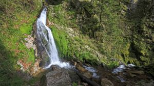 Die Wasserfälle bei Allerheiligen im Schwarzwald finden vermutlich alle Menschen schön. Aber warum eigentlich? Die Universität Stuttgart hat ein Verfahren entwickelt, um die Schönheit einer Landschaft zu bewerten. Foto: dpa
