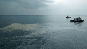 Die Absturzstelle im Meer von Java - die Hoffnung, noch Überlebende zu finden, sinkt. Foto: AFP/Pertamina Hulu Energy