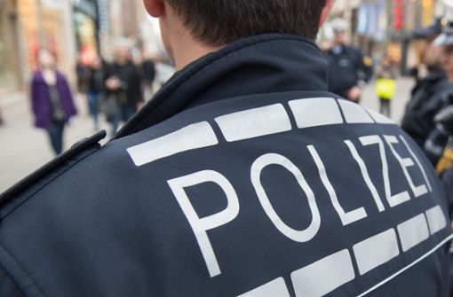 Die Polizei hat in Riedlingen eine Diebesbande zerschlagen. (Symbolbild) Foto: dpa/Marijan Murat