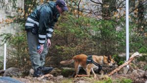 Mit Spürhunden suchten die Rettungskräfte das Gelände zwischen Altbach und Esslingen ab (Symbolfoto). Foto: dpa/Armin Weigel