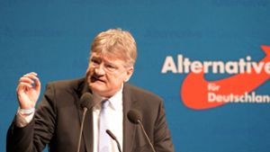 Meuthen ist Spitzenkandidat der AfD für die Europawahl am 26. Mai, Reil steht auf Listenplatz 2. Foto: dpa