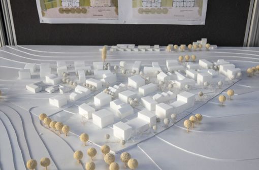Das „Urbane Dorf“ auf  Kernens Hangweidenareal ist eines des Projekte für die Bauausstellung 2027. Foto: Frank Eppler