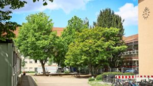 Grüner Hof: Die Bäume bleiben den  Goethe-Schülern erhalten. Foto: factum/
