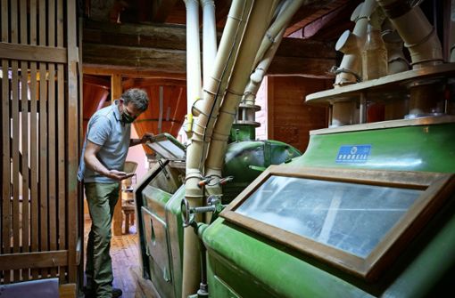 Alte Technik bleibt zeitgemäß – und fordert den Müller: Markus  Birenbaum  kontrolliert in der Talmühle das  gemahlene Mehl. Foto: factum/Simon Granville