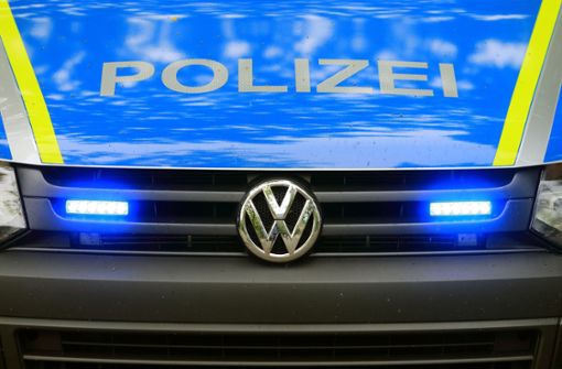 Die Polizei sucht Zeugen zu dem Diebstahl. (Symbolbild) Foto: dpa/Jens Wolf