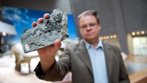Paläontologe Rainer Schoch mit einem Rest versteinerter Schildkröte Foto: dpa