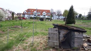 Letzte Reste der Schrebergartenkolonie: Baugebiet Esslinger Weg I. Foto: her