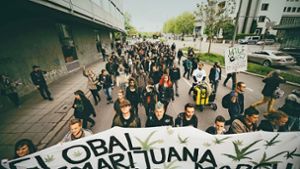 Auch in diesem Jahr hat in Stuttgart wieder ein  Global Marijuana March stattgefunden. Die teilnehmer demonstrieren für einen liberaleren Umgang mit der Rauschdroge. Foto: 7aktuell.de/Gerlach
