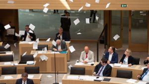Flugblätter fliegen auf die Abgeordneten im Landtag herab. Foto: dpa