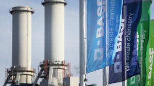 Der Chemiekonzern BASF ist laut einem Pressebericht durch Abrechnungsbetrug um Millionensummen geprellt worden Foto: AFP