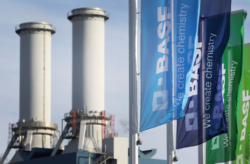 Der Chemiekonzern BASF ist laut einem Pressebericht durch Abrechnungsbetrug um Millionensummen geprellt worden Foto: AFP