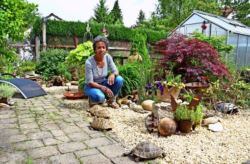 Die Landschildkröten leben in 14 Freigehegen – das größte ist gleichzeitig auch der Garten von  Christin Kern und ihrer Familie. Foto: Martin Braun