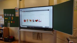 Neue Technik: So sehen die neuen Displays in den Klassenräumen aus. Foto: Stadtverwaltung