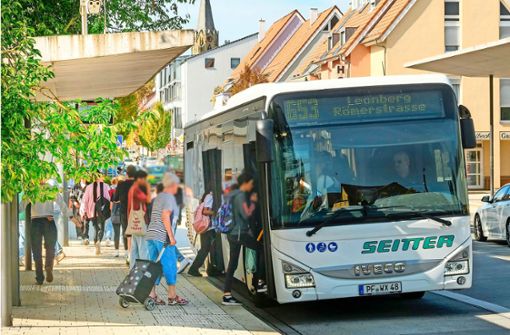 Die Seitter-Linie 653 in Rutesheim: Schüler vor allem aus Gebersheim stehen derzeit vor großen Problemen. Foto: Simon Granville/ 