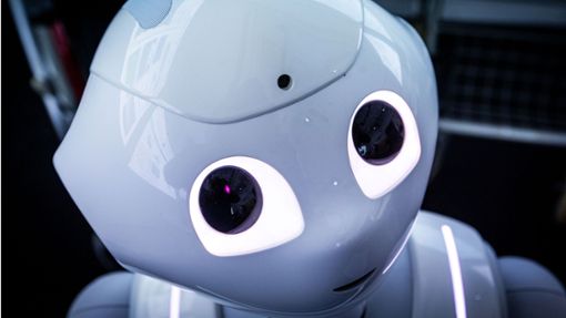 Der Pepper-Roboter der Firma Aldebaran Robotics wurde von Rostocker Wissenschaftlern für die Betreuung von Schlaganfallpatienten programmiert. Foto: dpa/Jens Büttner