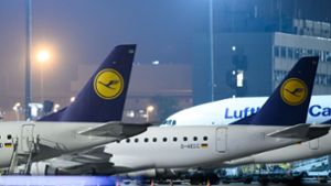 Die Lufthansa streicht einige Flugverbindungen. (Symbolbild) Foto: dpa/Silas Stein