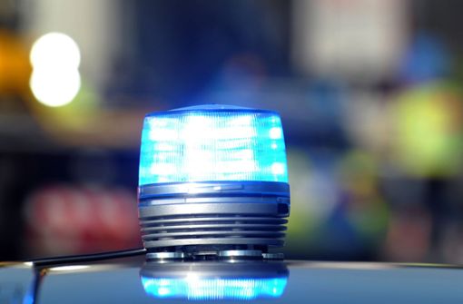 Die Polizei meldet einen kuriosen Diebstahl in Karlsruhe. Foto: dpa
