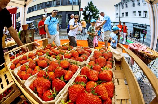 Alles auf Erdbeere – die süße Frucht und die Händler stehen im Mittelpunkt beim alljährlichen Fest in der Esslinger Innenstadt. Foto: Horst Rudel